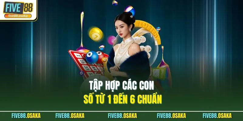 Tập hợp các con số từ 1 đến 6 chuẩn